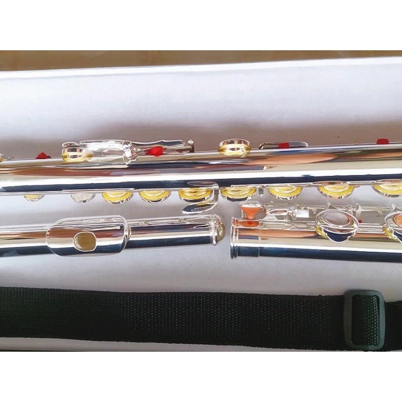 Professional Flute 211SL Model - Musical Instrument Morocco review and price